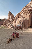 Petra - the Unaishu Tomb 